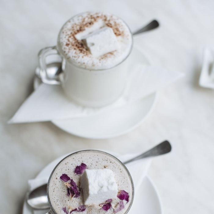 two hot chocolates with marshmallows