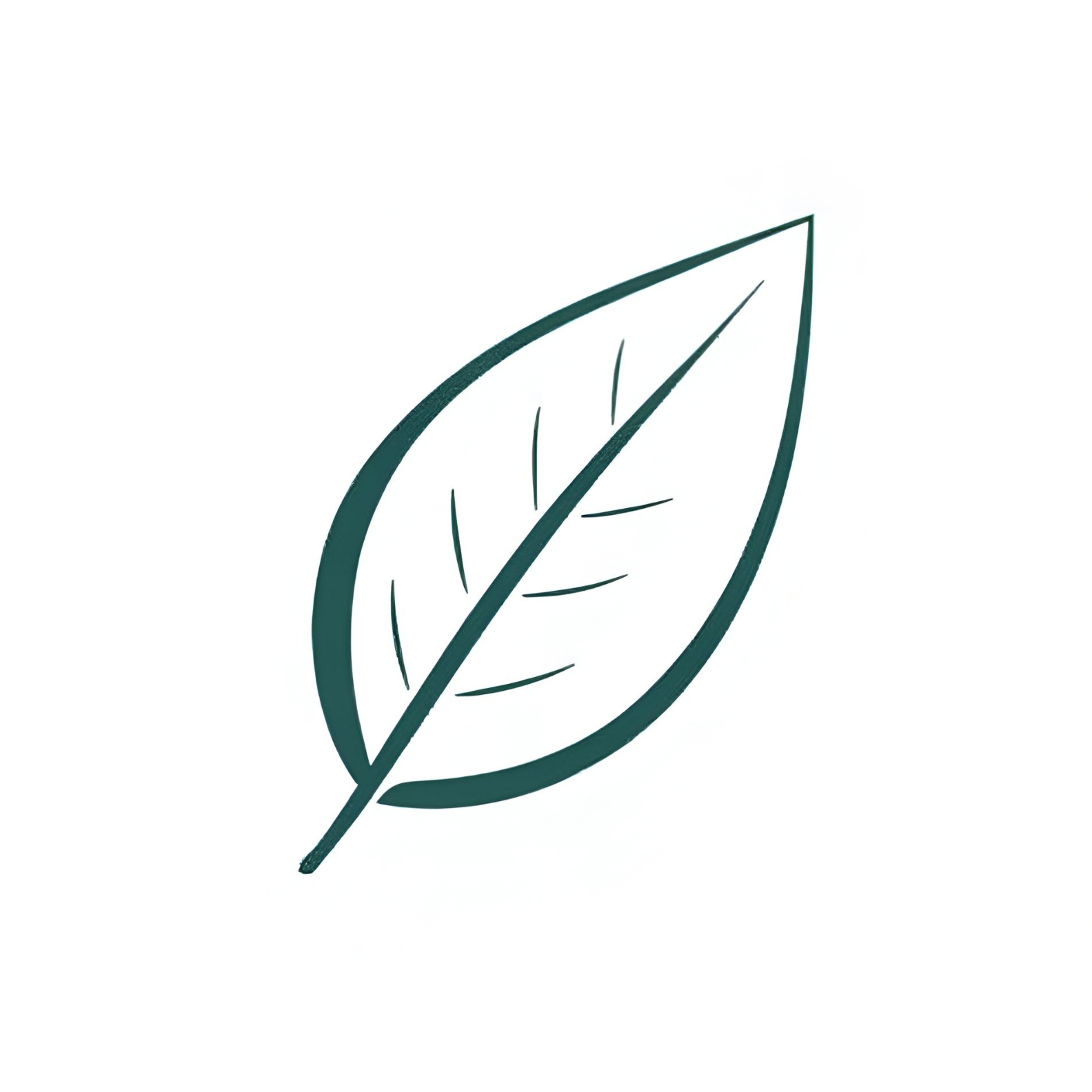 Green leaf icon on a white background